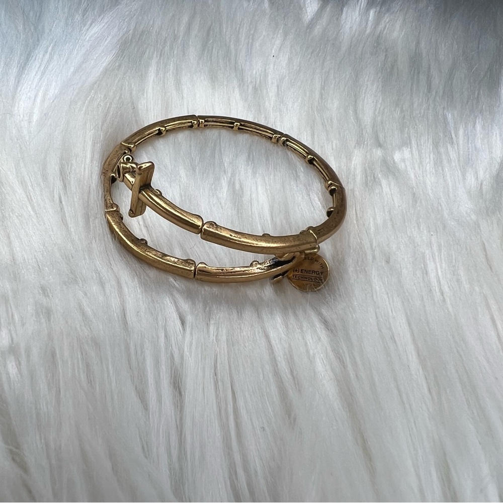 Alex and Ani Rafaelian Gold Anchor Wrap Bangle Bracelet